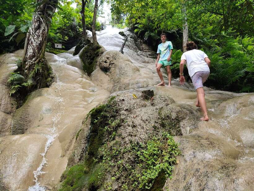 Chiang Mai: Elephants, Sticky Waterfalls, Market and Temple - The elephant encounter: feeding, care, and bathing