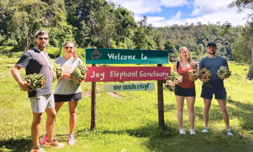 Chiang Mai: Ethical Half Day Elephant Sanctuary & Waterfall - Key points to know before booking