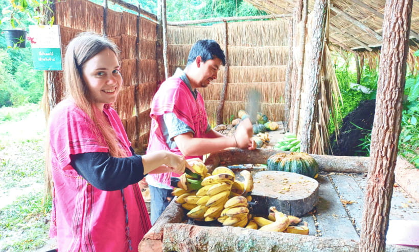 Chiang Mai: Ethical Half Day Elephant Sanctuary & Waterfall - Preparing food and meeting the elephants