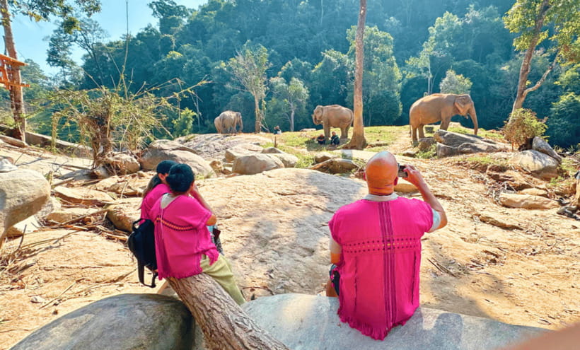 Chiang Mai: Ethical Half Day Elephant Sanctuary & Waterfall - Cooling off beside the waterfall