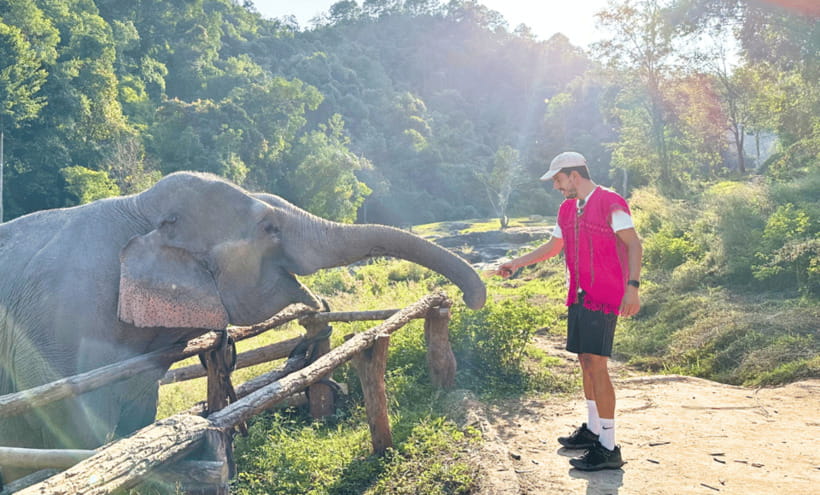 Chiang Mai: Ethical Half Day Elephant Sanctuary & Waterfall - Pad Thai, fruit, and a handmade Thai souvenir