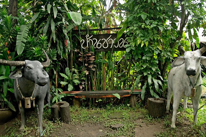 Chiang Mai Farm Life & Khao Soy Tasting on a Half-Day Boat Tour - Arriving at the farmhouse and herb garden