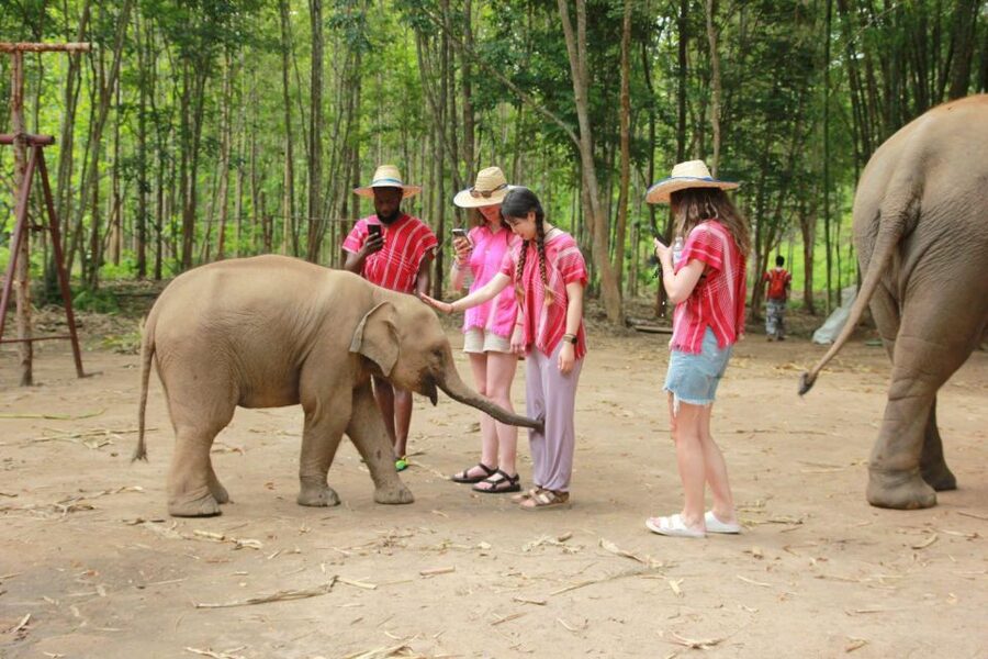 Chiang Mai: Full-Day Kerchor Elephant Eco Park Tour & Trek - Bathing, Photos, and Animal Welfare Questions