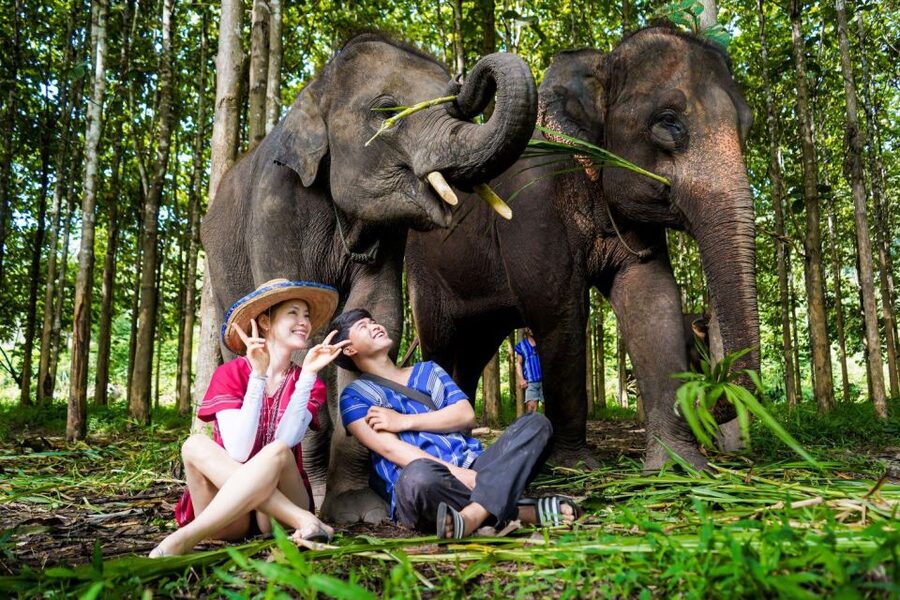 Chiang Mai: Full-Day Kerchor Elephant Eco Park Tour & Trek - Is $57 Good Value?