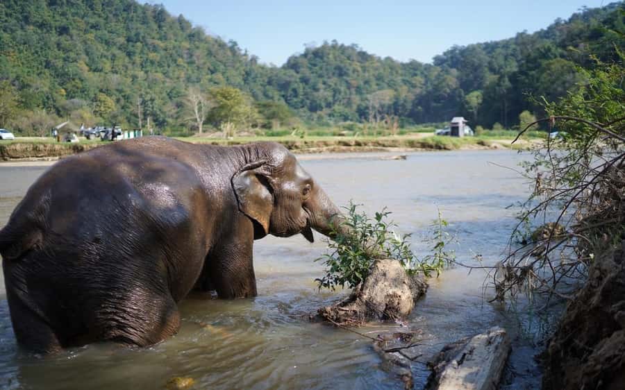 Chiang Mai Half-Day Adventure: River Tubing & Waterfall - Sliding into the pools at Saa Gee Waterfall