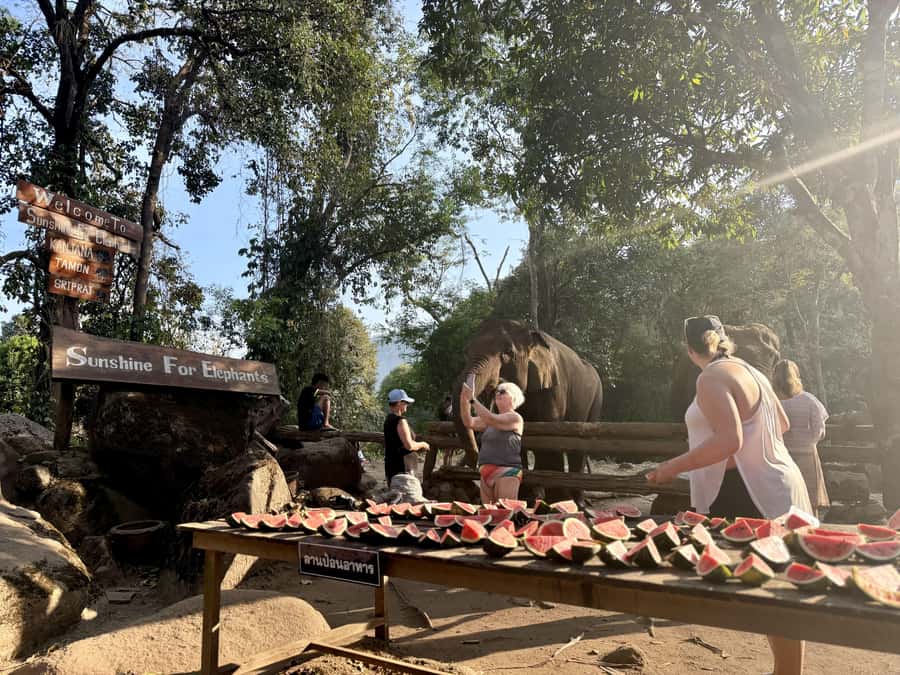 Chiang Mai Half-Day Adventure: River Tubing & Waterfall - A clean, comfortable finish at base camp