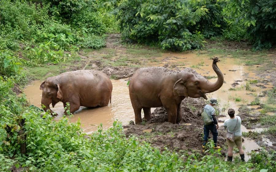 Chiang Mai Half-Day Adventure: River Tubing & Waterfall - What the $62 price really covers