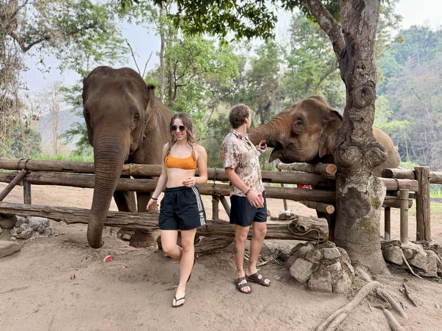 Chiang Mai Half-Day Adventure: River Tubing & Waterfall - Who will enjoy this outing most