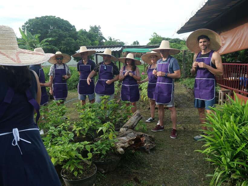 Chiang Mai: Half Day Cooking Class at Organic Farm - Why this cooking class works so well