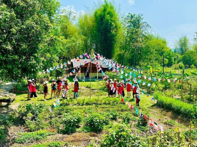 Chiang Mai: Half Day Cooking Class at Organic Farm - Choose your Chiang Mai cooking setting carefully