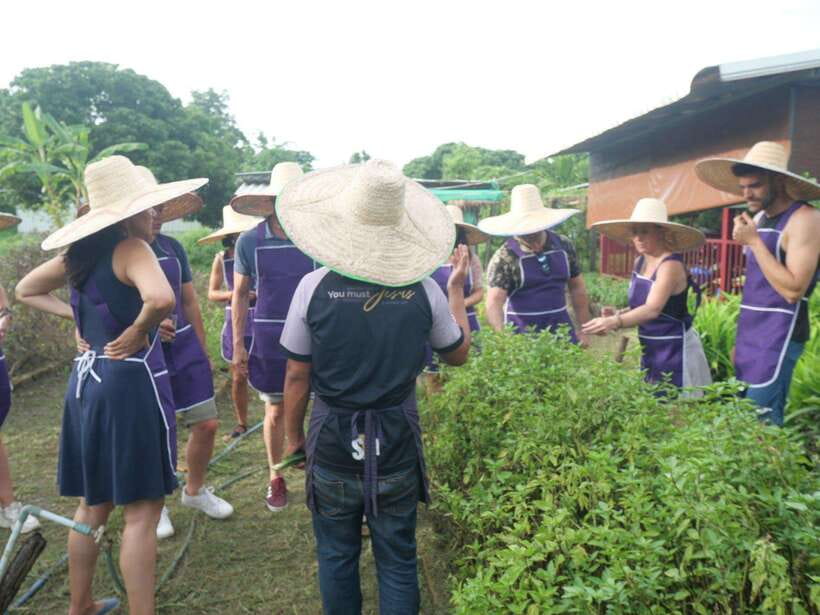 Chiang Mai: Half Day Cooking Class at Organic Farm - Who should book this Chiang Mai class?