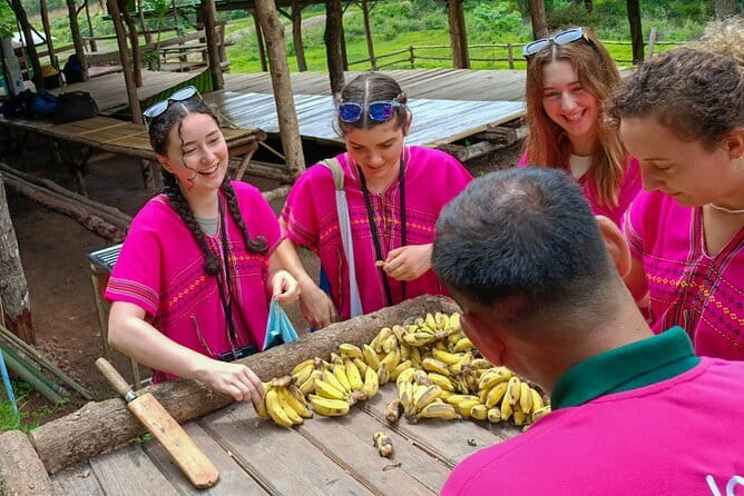 Chiang Mai Half Day Elephant Sanctuary Observation and Waterfall - Meeting elephants at Joy Elephant Sanctuary