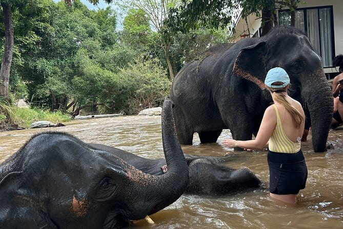 Chiang Mai Half Day Elephant Sanctuary Observation and Waterfall - What the $58.67 price really covers