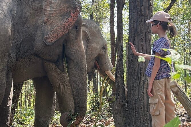 Chiang Mai Half Day Tour: Doi Inthanon Elephant Sanctuary - Meeting the Karen guides and learning the local story