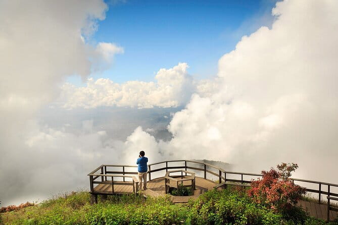 Chiang Mai Half Day Tour: Doi Inthanon Elephant Sanctuary - Watching two adults and a baby in the forest