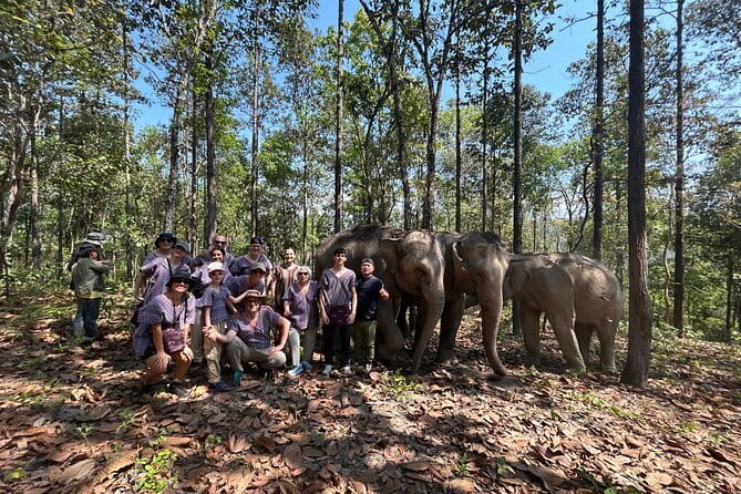 Chiang Mai Half Day Tour: Doi Inthanon Elephant Sanctuary - The early start and the road to Doi Inthanon