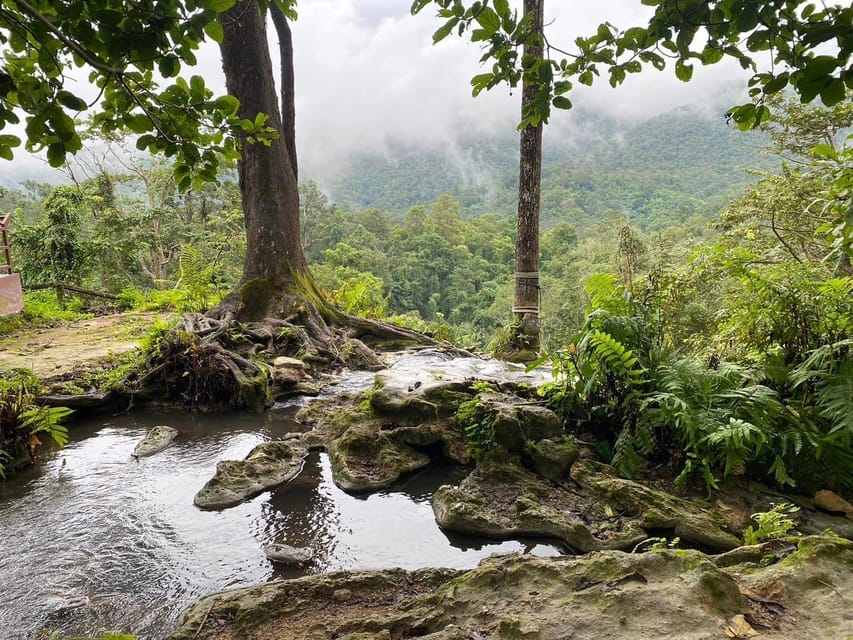 Chiang Mai Half Day Tour: Sticky Waterfall & Hotel Transfer - Key points to know before booking