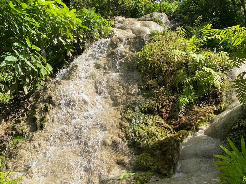 Chiang Mai Half Day Tour: Sticky Waterfall & Hotel Transfer - Why Bua Tong Waterfall is different