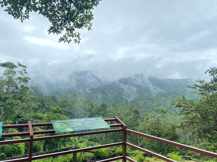Chiang Mai Half Day Tour: Sticky Waterfall & Hotel Transfer - What the driver does, and what the driver does not do
