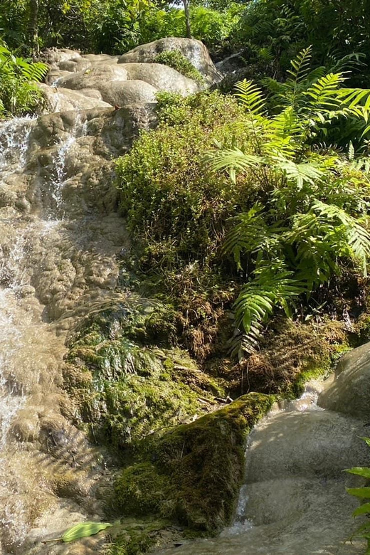 Chiang Mai Half Day Tour: Sticky Waterfall & Hotel Transfer - Is $21 good value for this half-day trip?