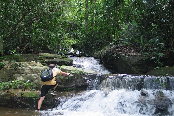 Chiang mai Hike & Downhill Bike Adventure –Suthep National Park - Why this day works so well from Chiang Mai