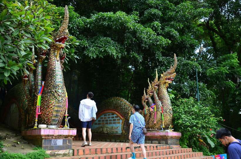 Chiang Mai: Hike on Monk’s Trail and Doi Suthep Private Tour - Key points to know before you book