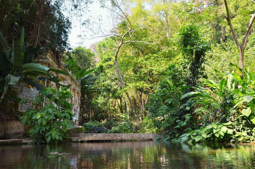 Chiang Mai: Hike on Monk’s Trail and Doi Suthep Private Tour - Reaching Wat Phra That Doi Suthep and the Golden Stupa