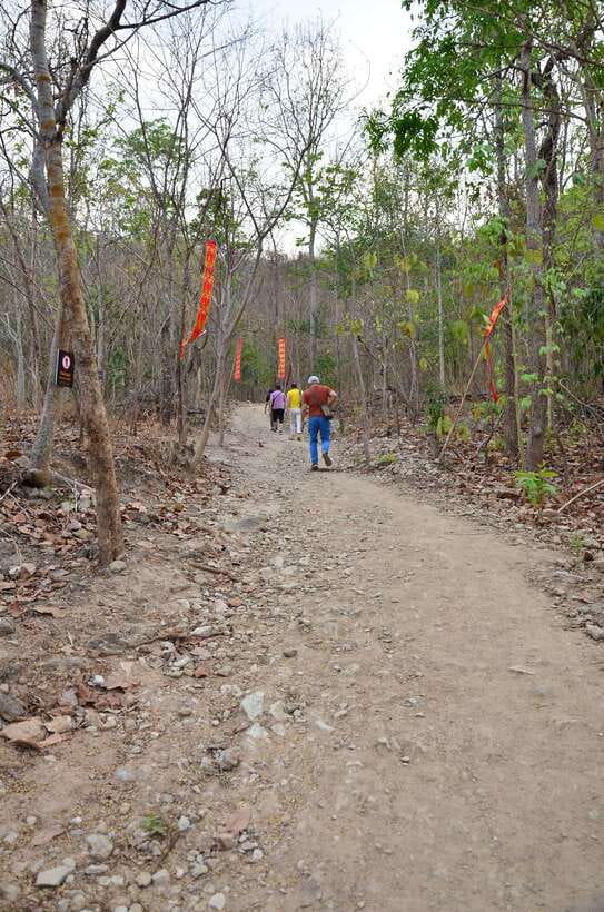 Chiang Mai: Hike on Monk’s Trail and Doi Suthep Private Tour - What the $57 price includes