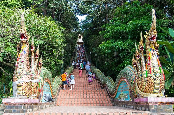 Chiang Mai Iconic Temples and City Tour - Is $45.50 a fair price?