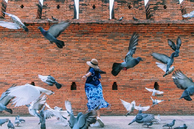 ️ Chiang Mai Instagram Tour: Most Famous Spots (Private and All-Inclusive) - Wat Umong, Wiang Kum Kam, and Lanna culture