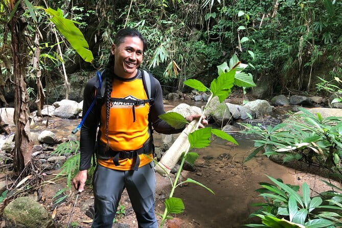 Chiang Mai: Inthanon, Elephant Sanctuary Observation & Waterfall - Hiking Pha Dok Siew for two hours