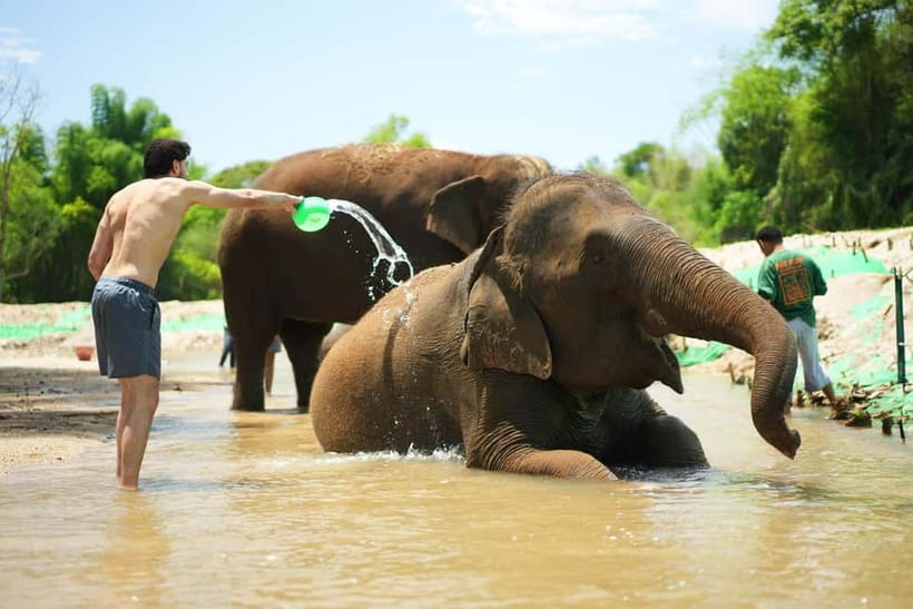 Chiang Mai: Jungle Jumbo Elephant Sanctuary with Waterfall - From Chiang Mai Old Town to the Village