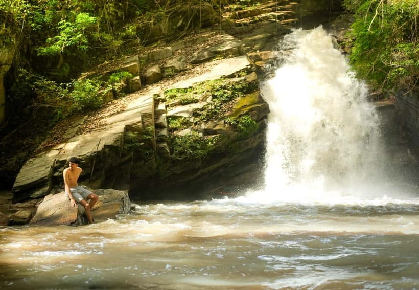 Chiang Mai: Jungle Jumbo Elephant Sanctuary with Waterfall - A Jungle Walk to the Waterfall