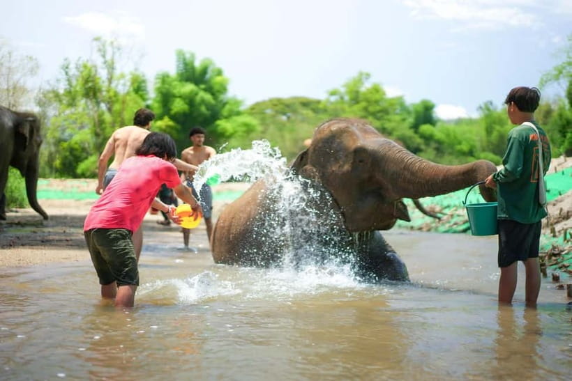Chiang Mai: Jungle Jumbo Elephant Sanctuary with Waterfall - What the Guides Add to the Day