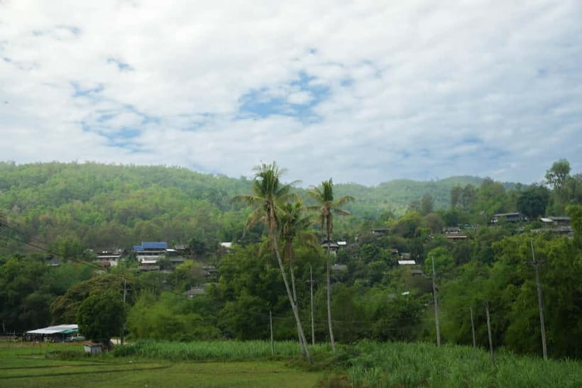 Chiang Mai: Jungle Jumbo Elephant Sanctuary with Waterfall - Is $45 a Good Price?
