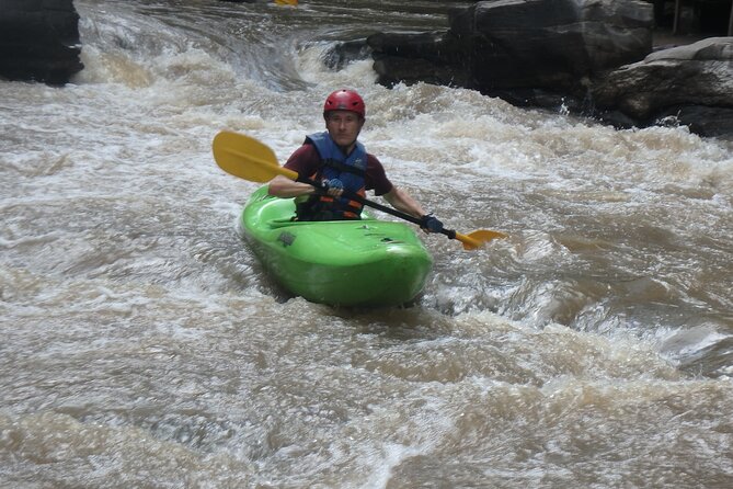 Chiang Mai: Jungle Kayak Adventure with Rapids & Elephants - Elephants beside the river