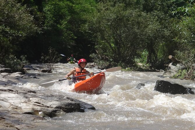 Chiang Mai: Jungle Kayak Adventure with Rapids & Elephants - The lower river for advanced paddlers