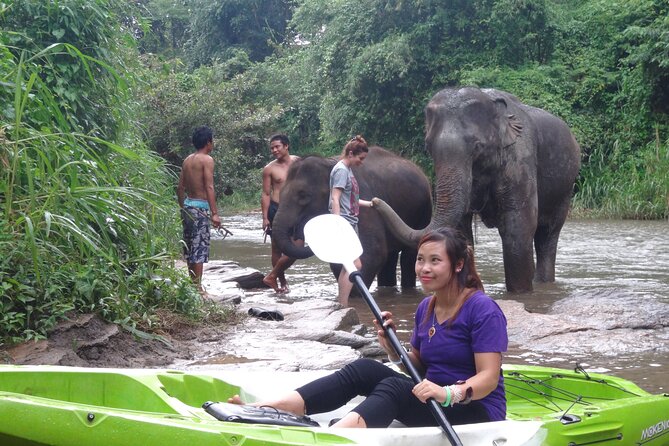 Chiang Mai: Jungle Kayak Adventure with Rapids & Elephants - What the guides and equipment add