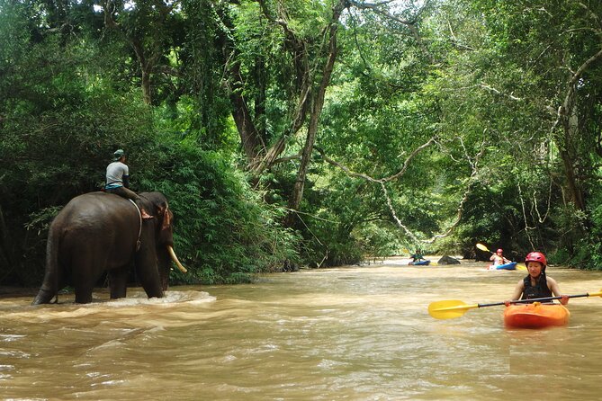 Chiang Mai: Jungle Kayak Adventure with Rapids & Elephants - Practical cautions before booking
