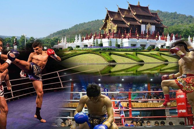 Chiang Mai Muay Thai Boxing Live at Thapae Stadium - Why a Muay Thai night belongs in Chiang Mai
