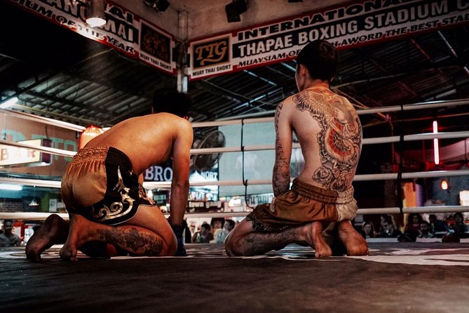 Chiang Mai Muay Thai Boxing Live at Thapae Stadium - Fast finishes can change the evening