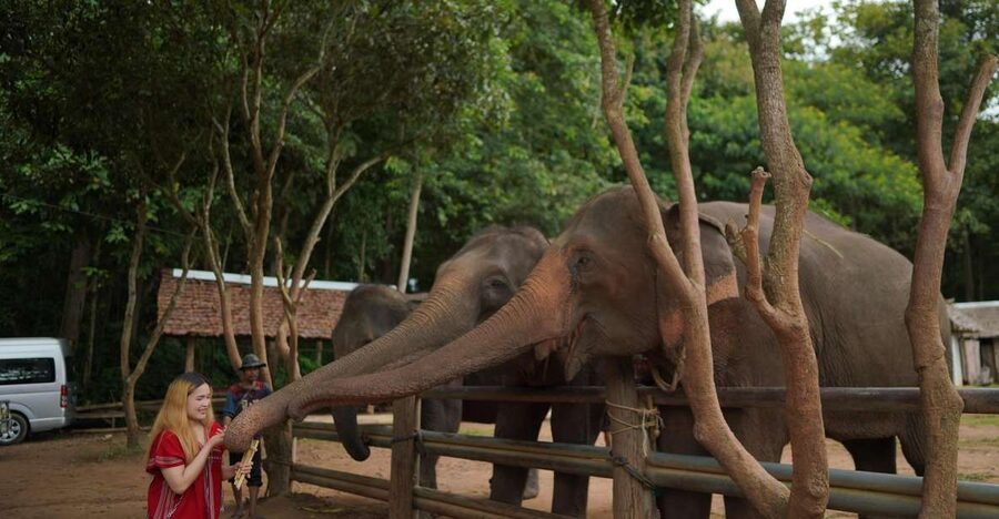 Chiang Mai: National Elephant Care, Rafting, & Ziplines Trip - Choosing bamboo rafting on the Mae Wang River