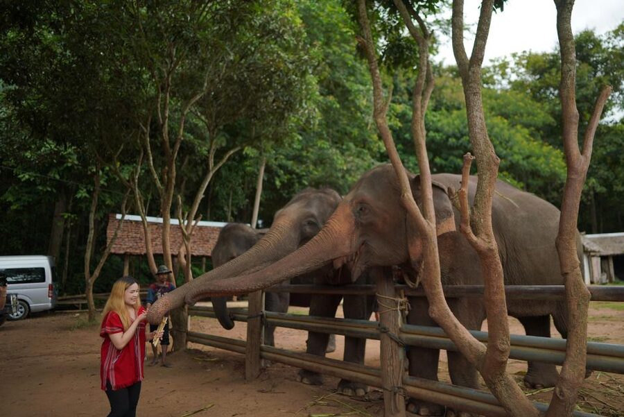 Chiang Mai: National Elephant Care, Rafting, & Ziplines Trip - Choosing the Mae Wang zipline adventure