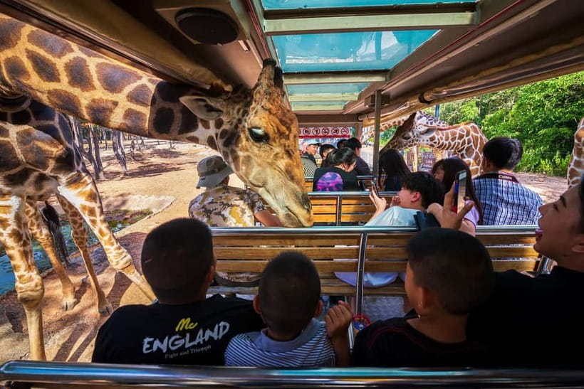 Chiang Mai Night Safari Ticket & Tram Rides Optional Pickup - What kind of evening is this?