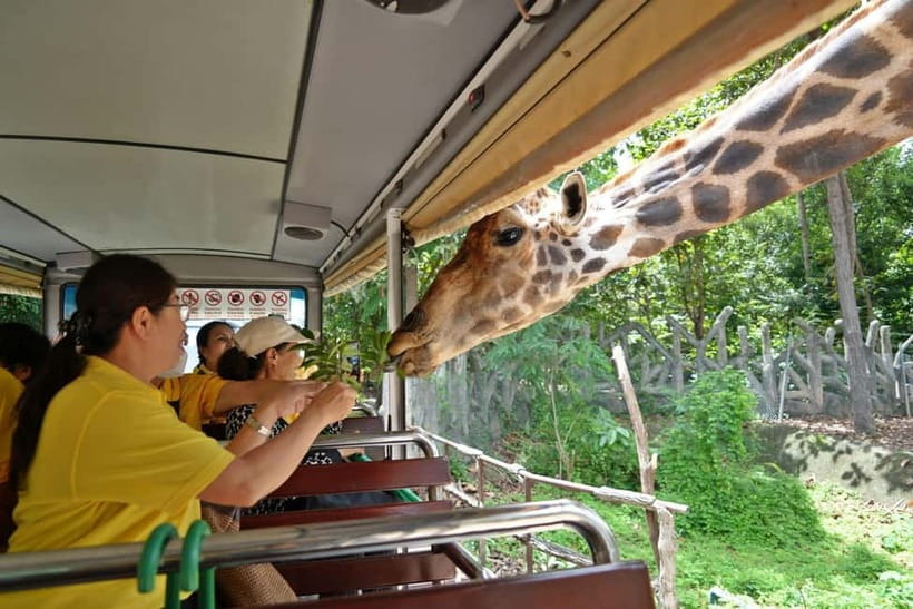 Chiang Mai Night Safari Ticket & Tram Rides Optional Pickup - Animal feeding and close-up encounters