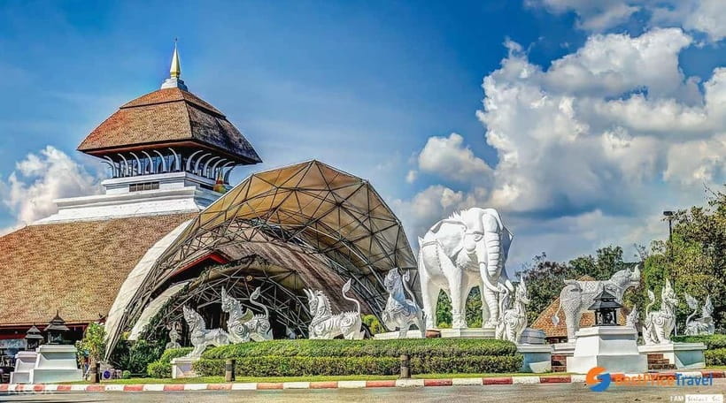 Chiang Mai Night Safari Ticket & Tram Rides Optional Pickup - Fitting the scheduled shows into four and a half hours