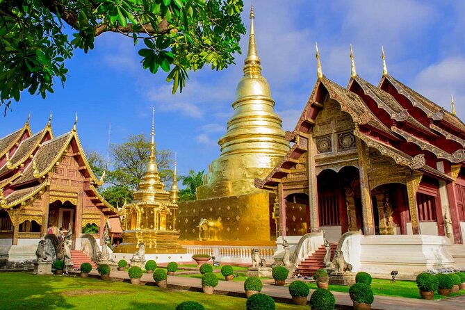 Chiang Mai Old City & Temples Guided Walking Tour - 3 Hrs - The guides make or break the experience