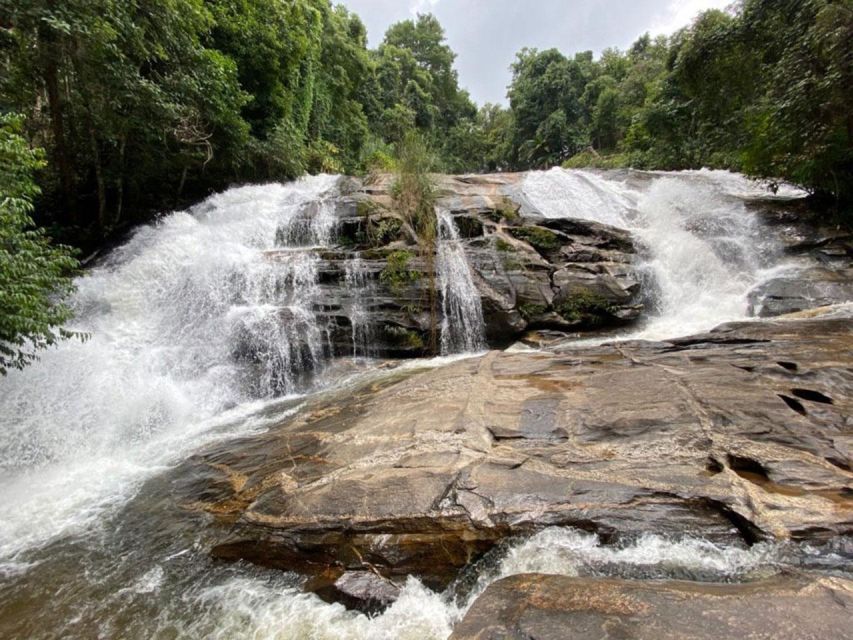 Chiang Mai: Pha Dok Siew Nature Trail & Doi Inthanon Trip - Key points at a glance