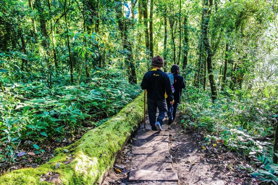 Chiang Mai: Pha Dok Siew Nature Trail & Doi Inthanon Trip - White Karen coffee and a traditional Thai lunch