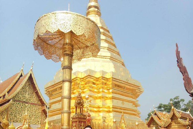 Chiang Mai Private Tour with Tea Plantation, Karen Village, Doi Suthep - Meeting the Karen community for about 50 minutes
